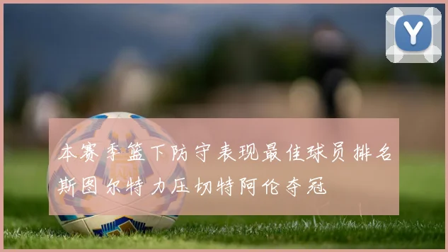 本赛季篮下防守表现最佳球员排名斯图尔特力压切特阿伦夺冠