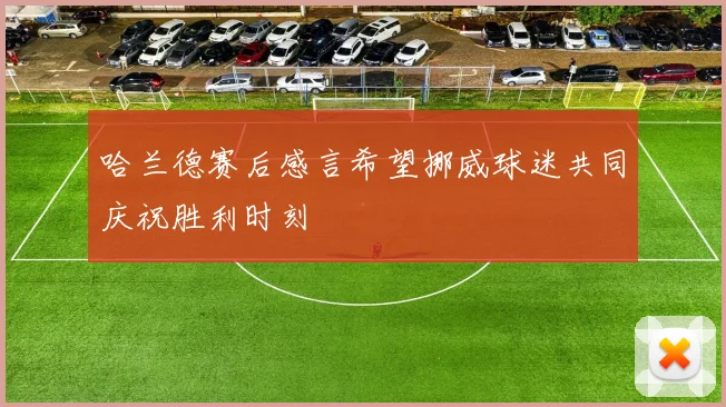 哈兰德赛后感言希望挪威球迷共同庆祝胜利时刻