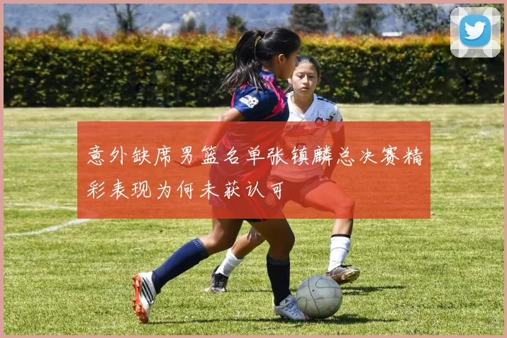 意外缺席男篮名单张镇麟总决赛精彩表现为何未获认可